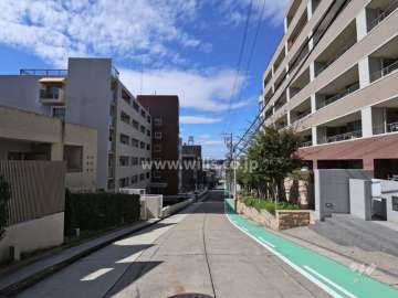 敷地南側の前面道路(東側から)