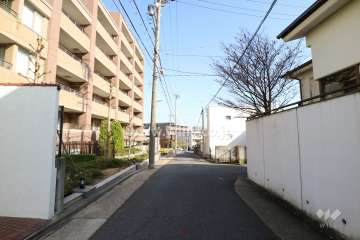 敷地南側の前面道路（西側から）