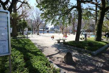 向かい側にある仲田公園