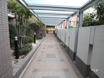 敷地南東側の前面道路（北東側から）