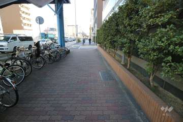 敷地東側の前面道路