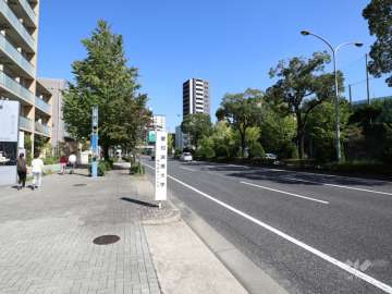 敷地南側の前面道路（西側から）