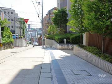 敷地東側の前面道路。