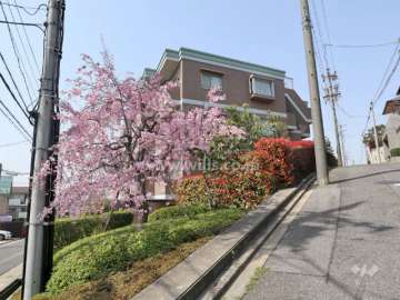 パークハウス徳川山町の外観（南東側から）