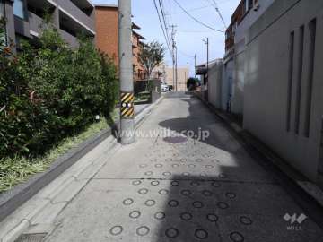 敷地南側の前面道路(西側から)