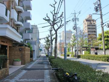 敷地北側の前面道路