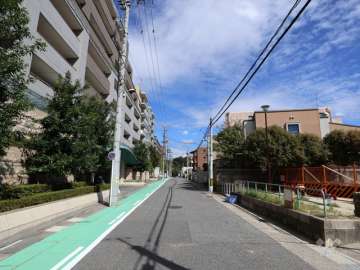 敷地南側の前面道路(西側から)