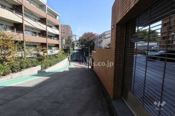 敷地の北側前面道路（西側から）