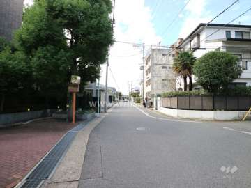 敷地東側の前面道路。