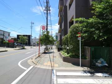 敷地東側前面道路