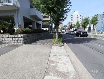 敷地東側の前面道路。片側二車線です。