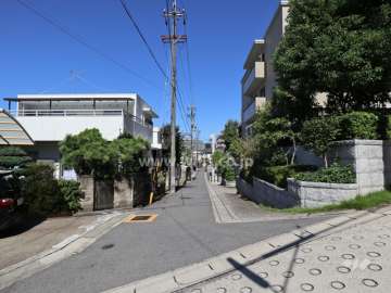 敷地の西側前面道路（南側から）