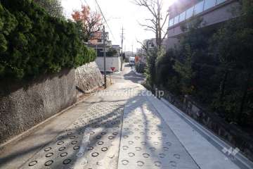 敷地東側の前面道路（北側から）