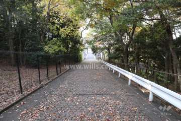 敷地北側の前面道路（西側から）