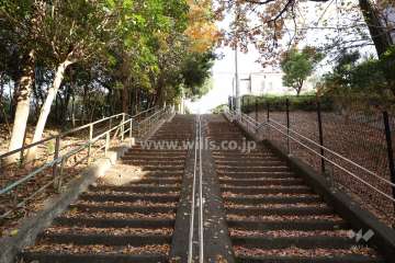 敷地北側の前面道路（東側から）