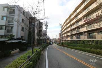 敷地北側の前面道路（東側から）