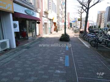 敷地南側の前面道路(西側から)