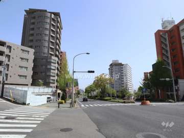 敷地南側の前面道路。バス通りです。