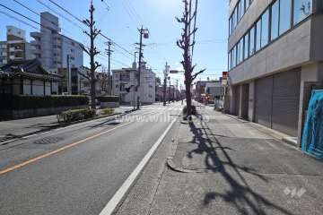 敷地西側の前面道路（北側から）