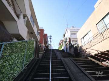 敷地の西側前面道路（北側から）