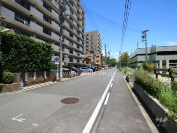 敷地南側前面道路