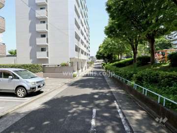 敷地南側前面道路