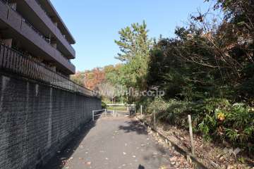 敷地東側の前面道路（南側から）