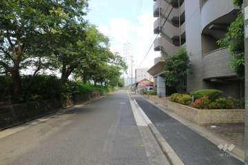 敷地北側前面道路（西側から）