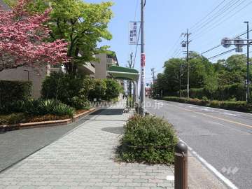 敷地南側の前面道路