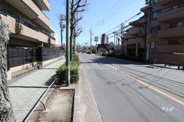 敷地南側の前面道路（西側から）