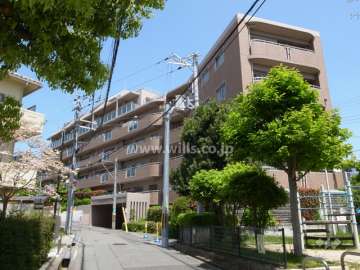 西側の前面道路（南側から）