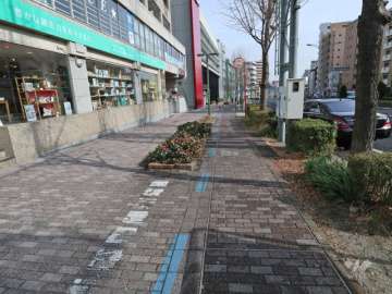 敷地南側の前面道路(西側から)