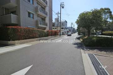 敷地東側前面道路