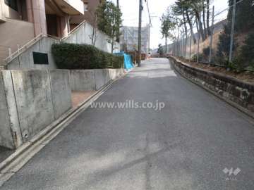 敷地南側の前面道路(西側から)