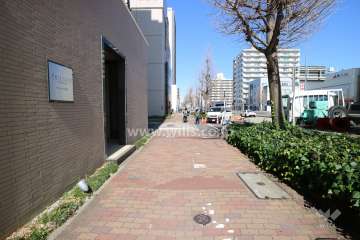 敷地の東側前面道路（南側から）