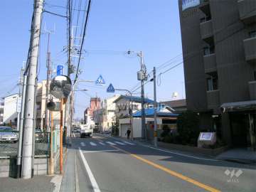 敷地西側はバス通りに面しています