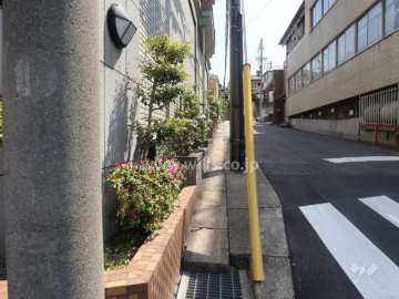 敷地西側の前面道路