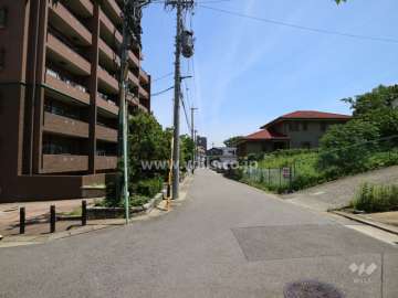 敷地に南側前面道路（西側から）