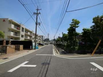 敷地の北側前面道路（西側から）