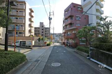 敷地西側の前面道路（北側から）