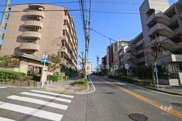 敷地南側の前面道路（東側から）