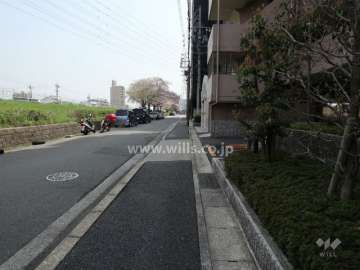 敷地北側の前面道路