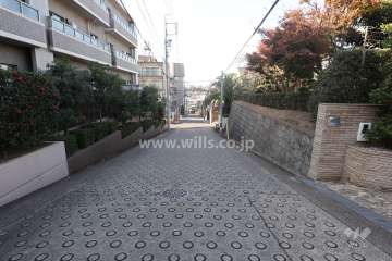 敷地北側の前面道路（東側から）