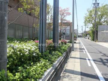 敷地北側の前面道路