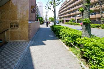 敷地北側の前面道路