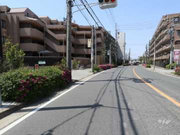 敷地北側の前面道路