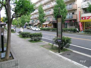 敷地の東側、すぐ目の前にバス停があります。