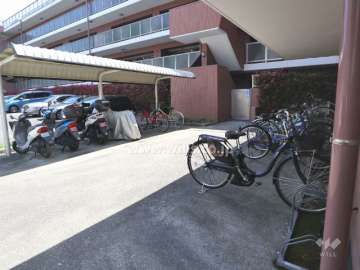 自転車置場(屋外)