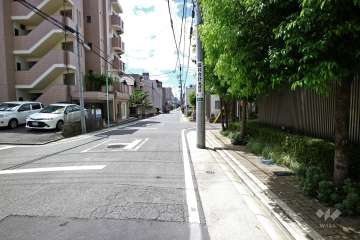 敷地南側の前面道路(東側から)