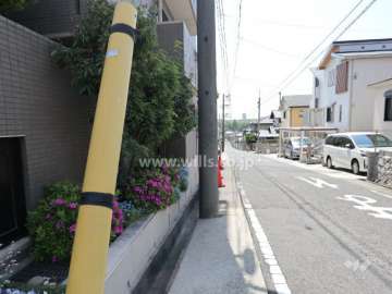 敷地西側の前面道路